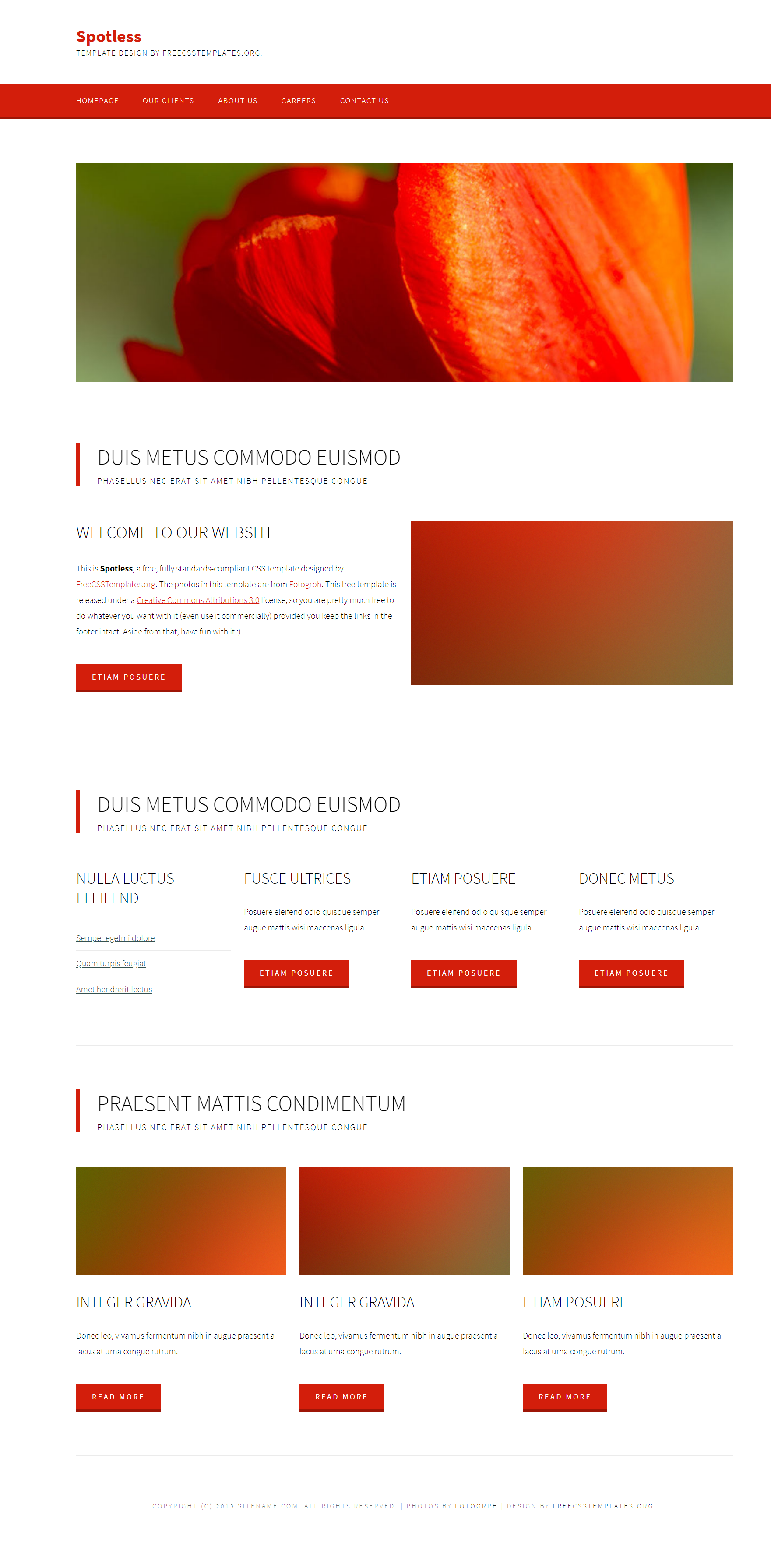 HTML红色欧美形式红花信息网页模板代码