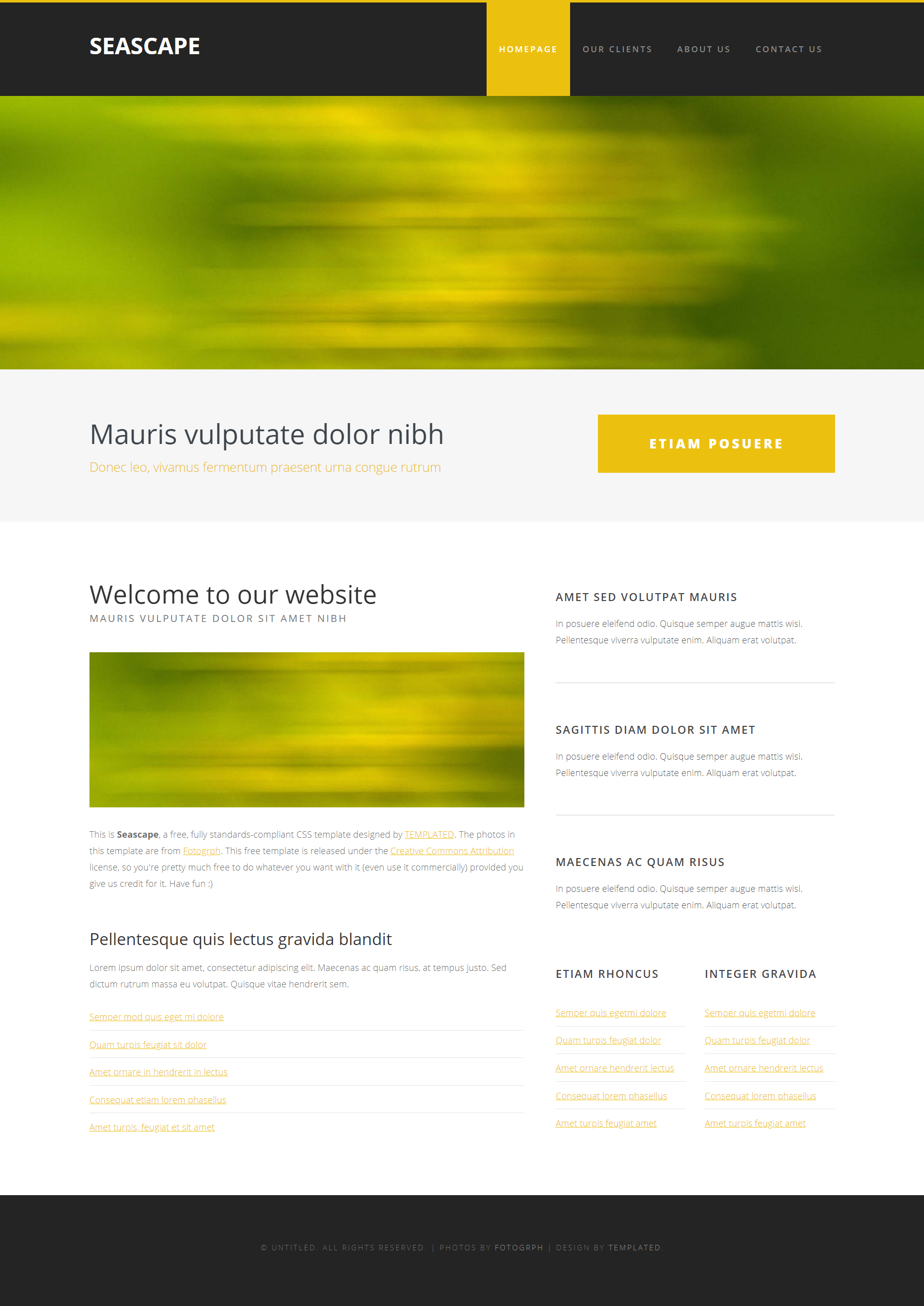 黄色大气风格响应式绿景信息动态网页模板