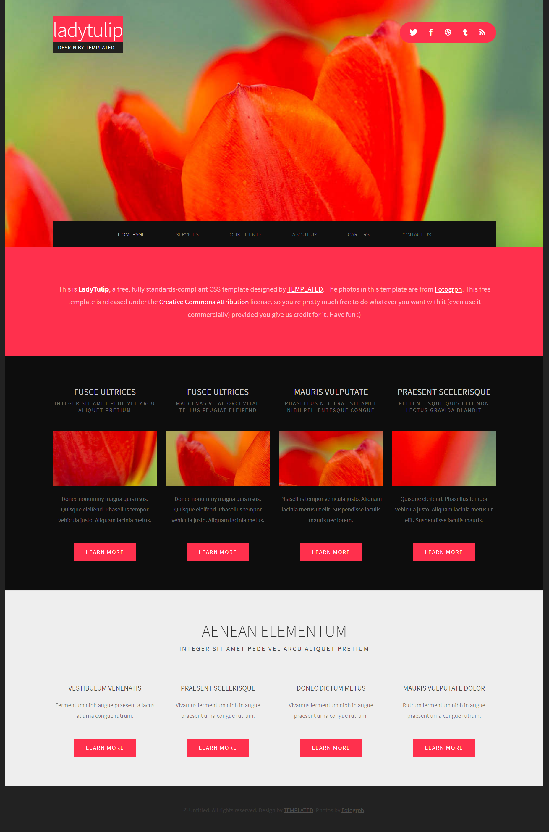 HTML红色欧美形式郁金香网页模板代码