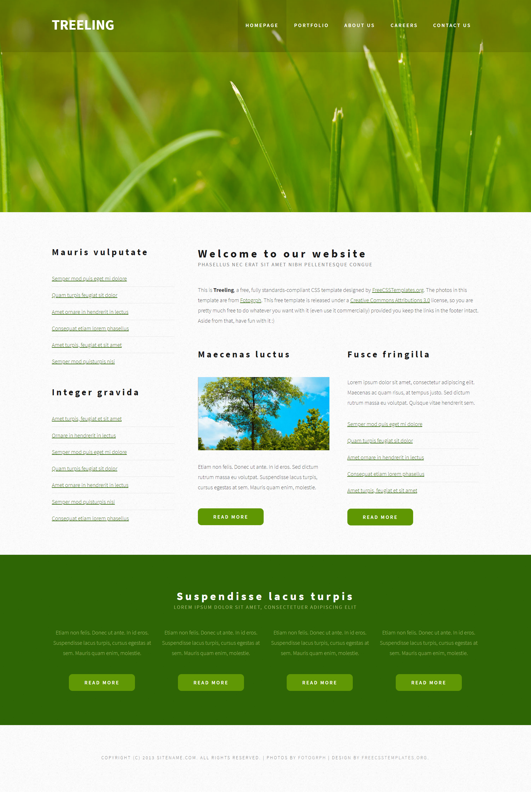 HTML绿色欧美形式树荫草地信息网页模板代码
