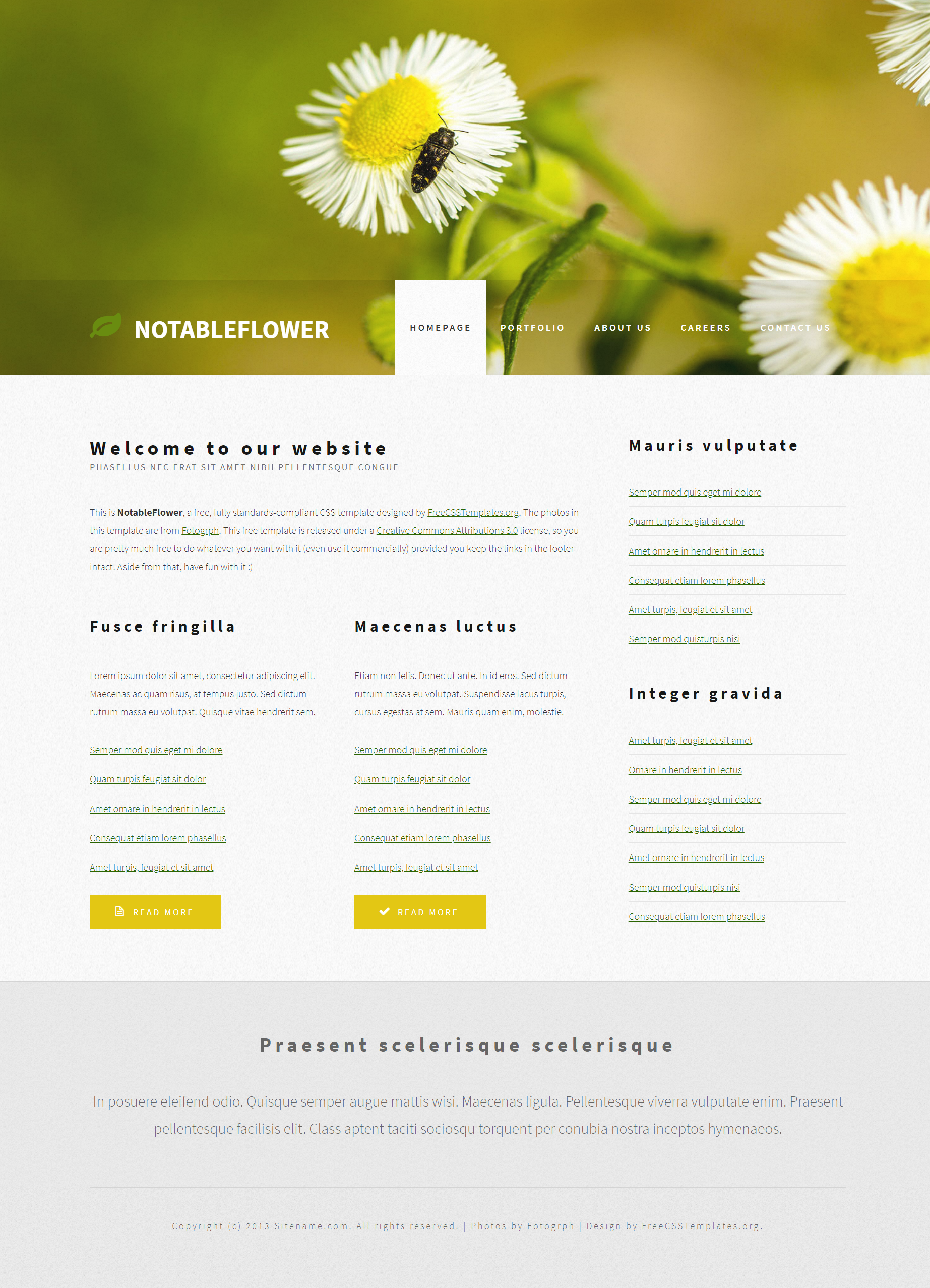 白色简洁风格响应式菊花主题介绍网页模板