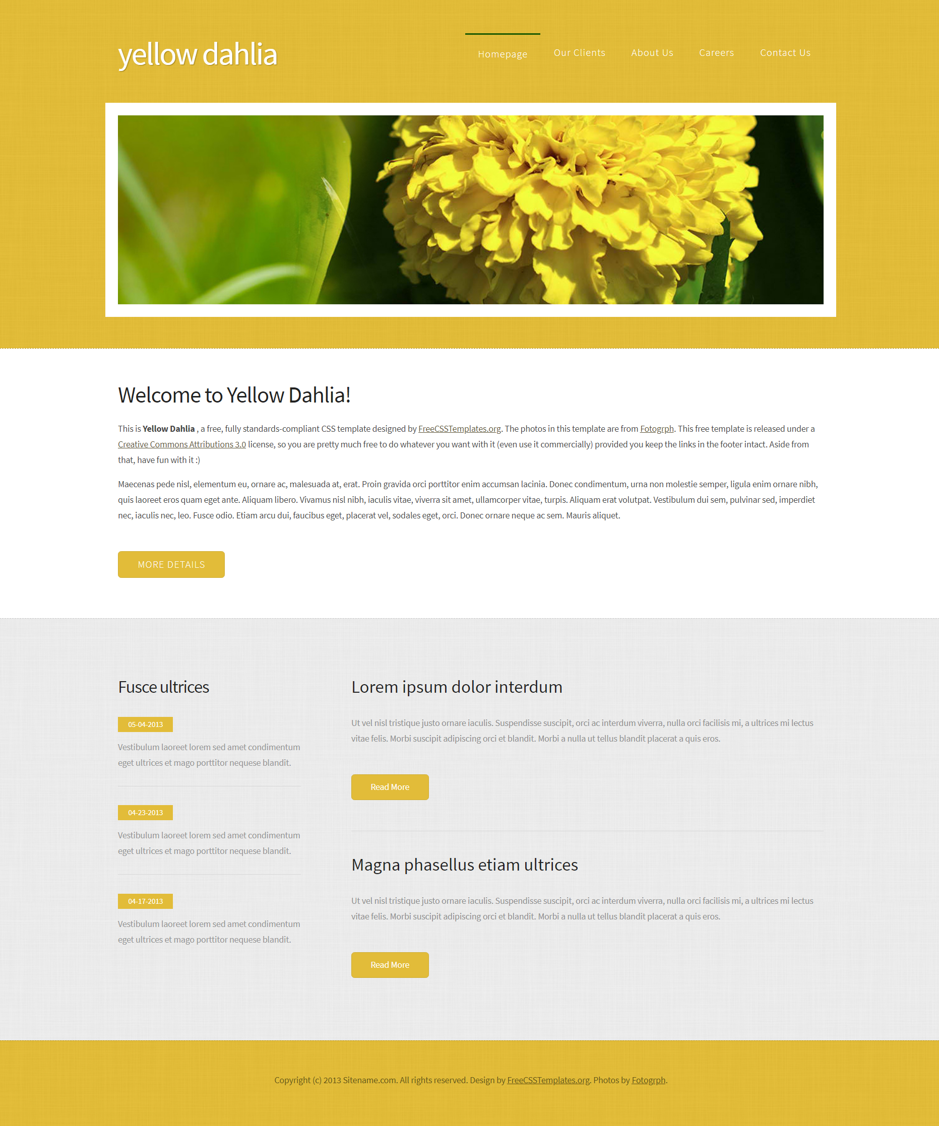 黄色简洁形式pc+wap大丽花信息网页模板代码