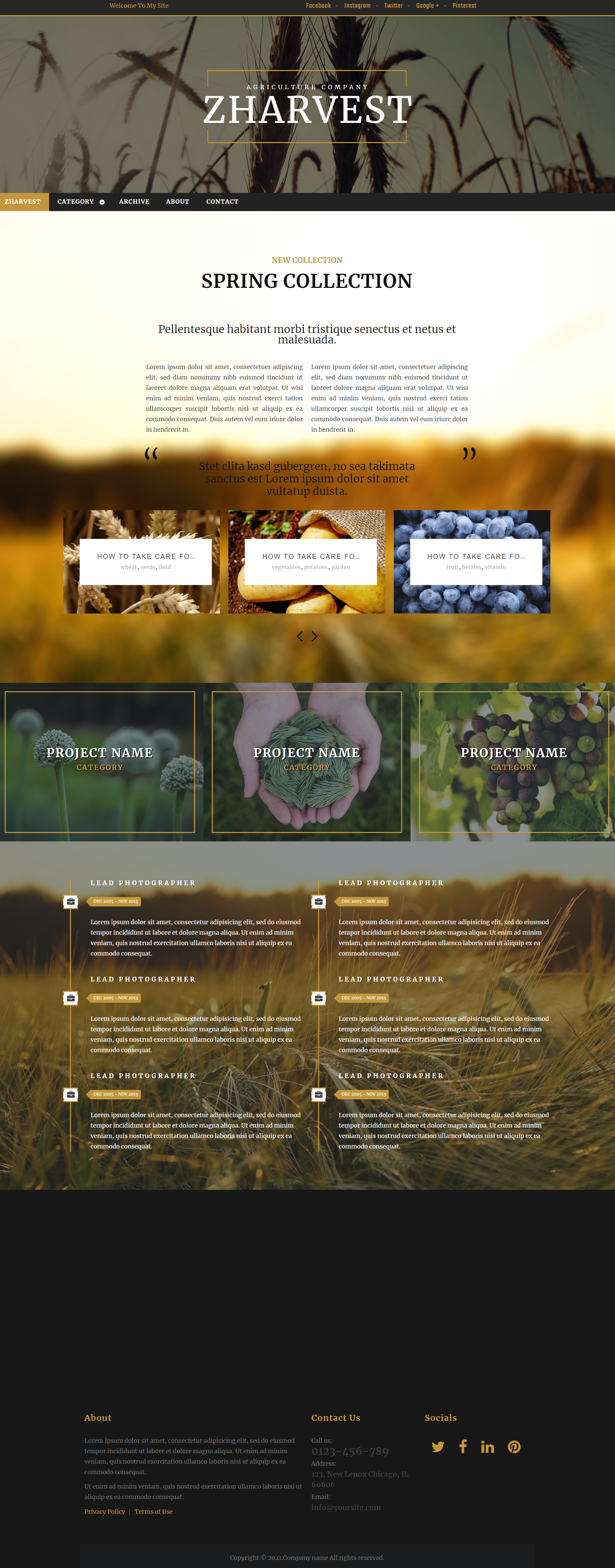 棕色大气风格响应式有机水果种植企业网站模板