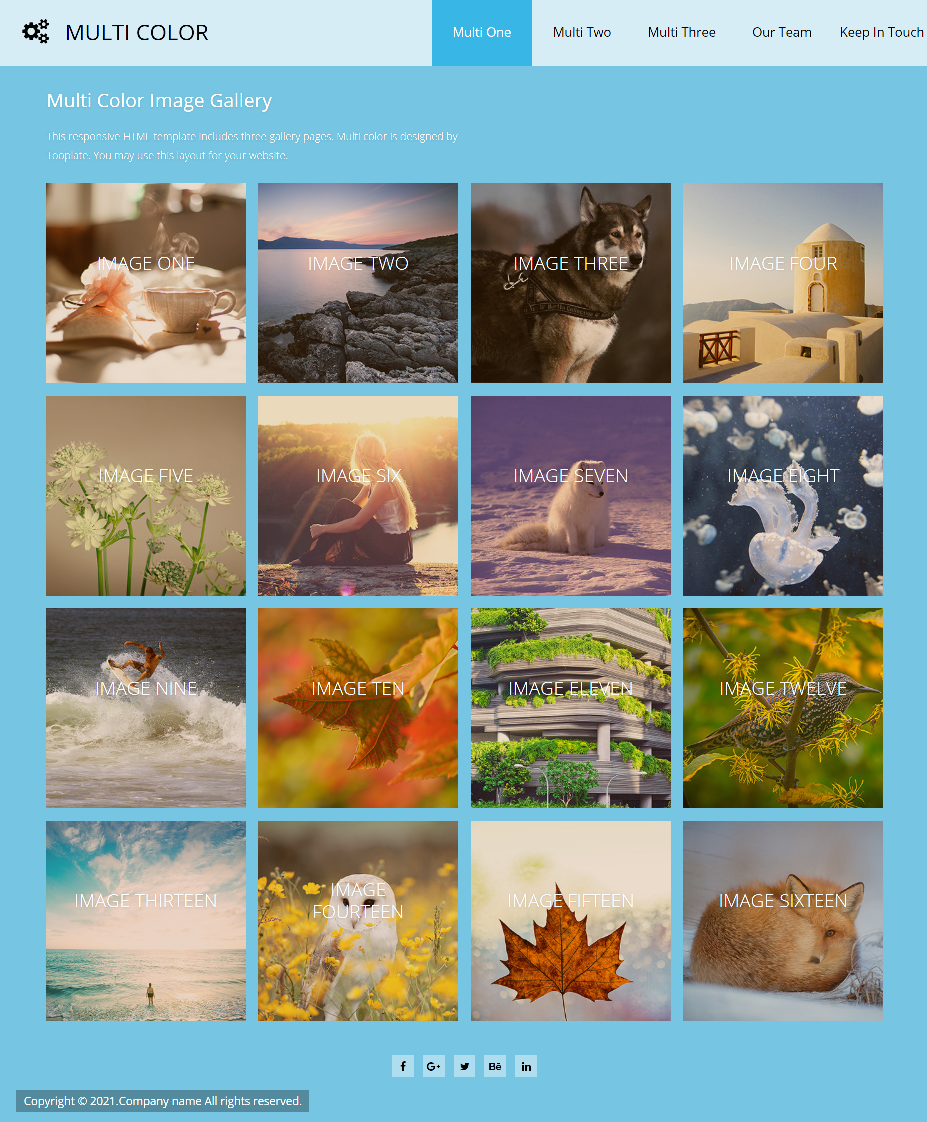 HTML蓝色实用形式相册摄影图库企业网站模板代码