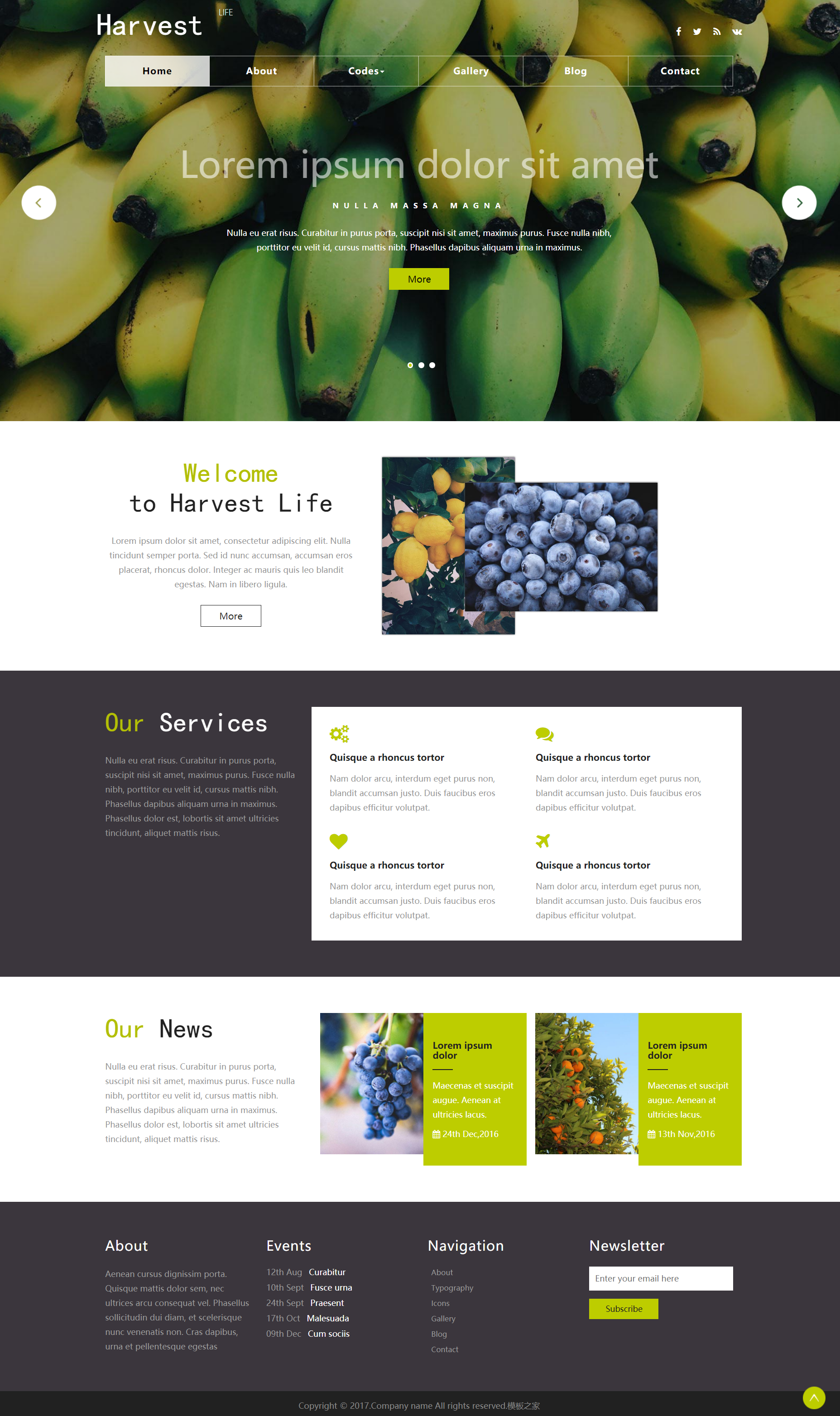 白色大气风格响应式果蔬类种植企业网站模板