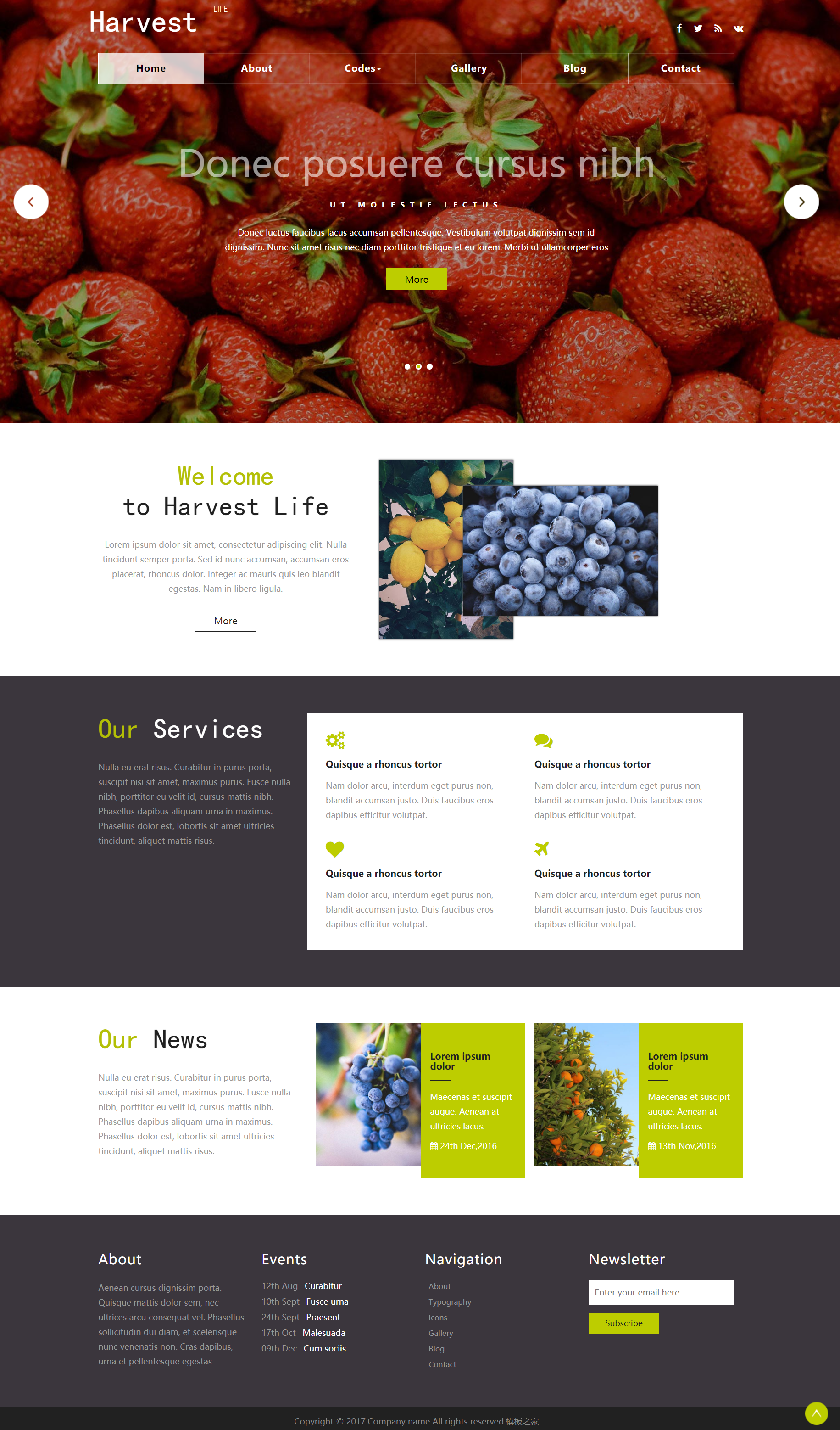 红色简洁风格响应式果蔬大棚企业网站模板