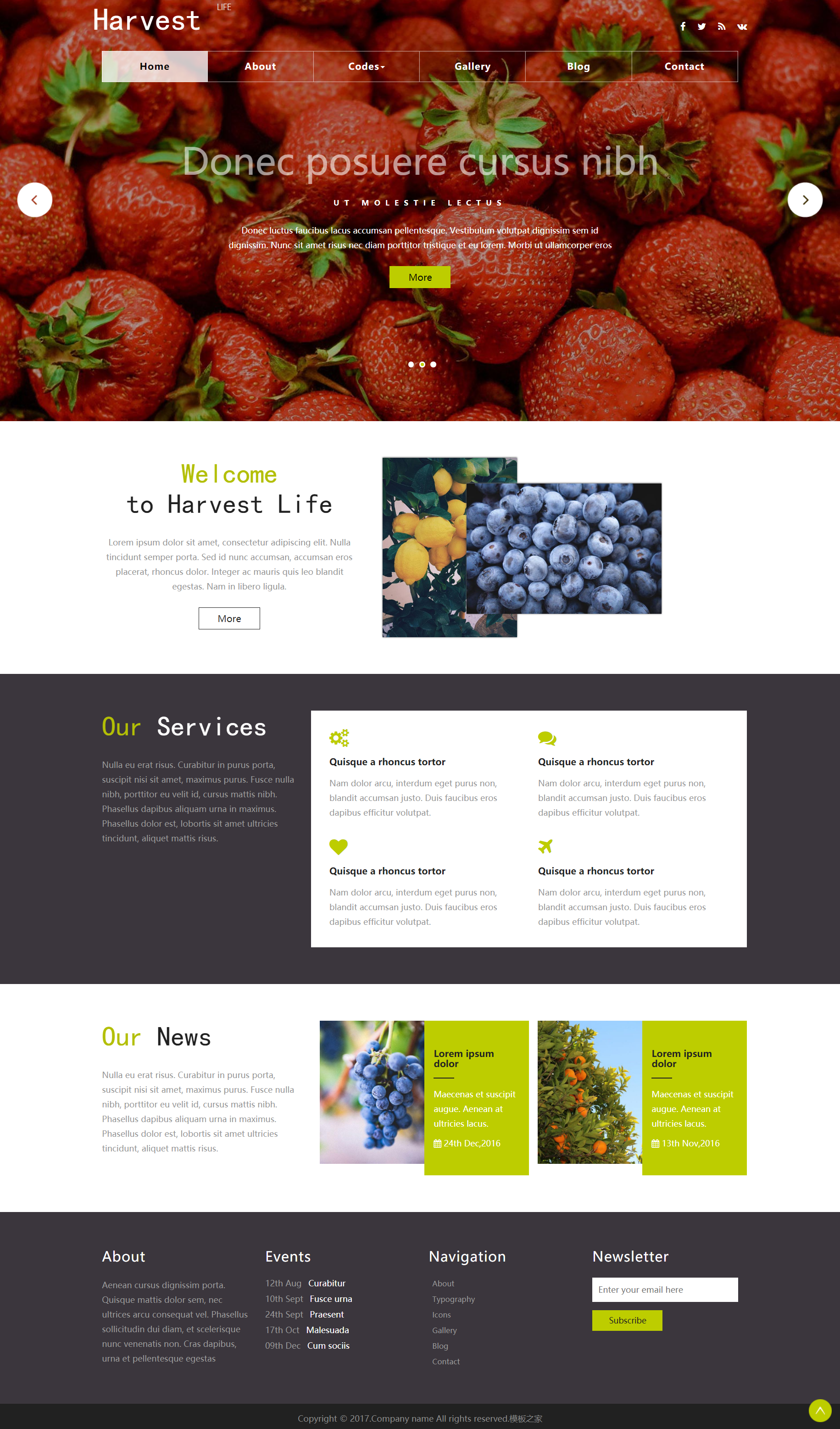 HTML白色实用形式果蔬大棚企业网站模板代码